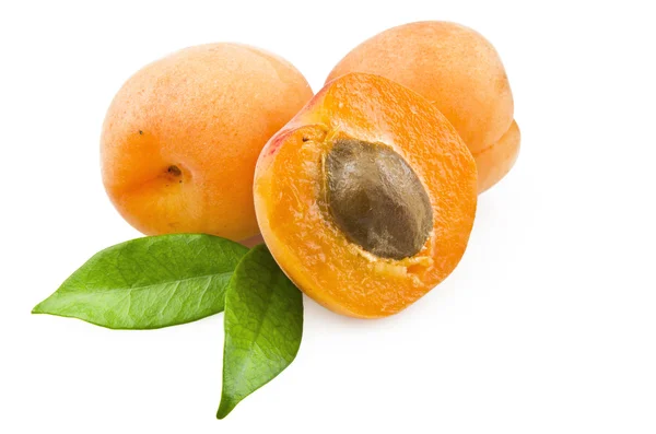 Stock image Apricot