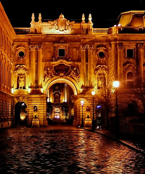 Palazzo storico a Budapest 3 — Foto Stock