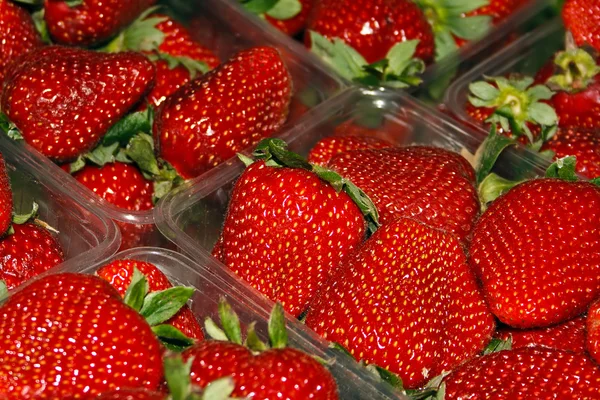 Strawberries 4 — Stock Photo, Image