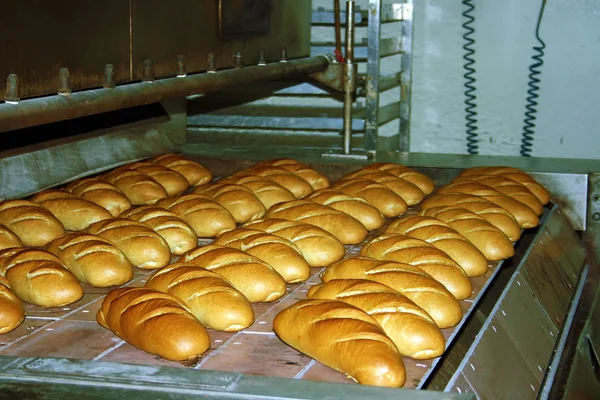 Bröd produktion 4 — Stockfoto