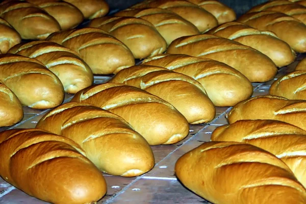 Produção de pão 5 — Fotografia de Stock
