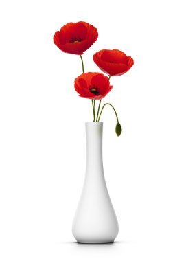 Delicate poppies over white clipart