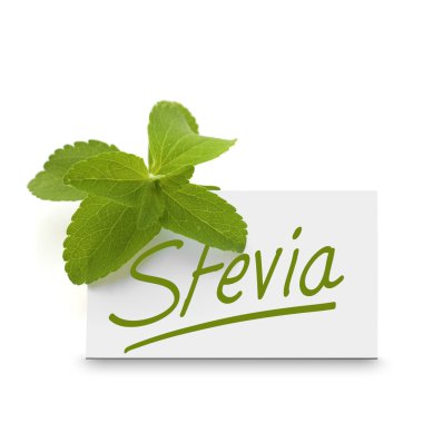 Sugar leaf, stevia rebaudiana clipart