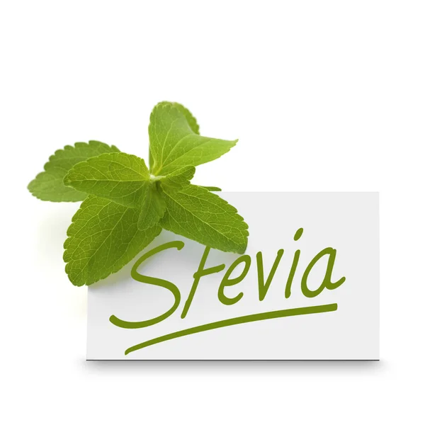 Stevia rebaudiana cukrem liść — Zdjęcie stockowe