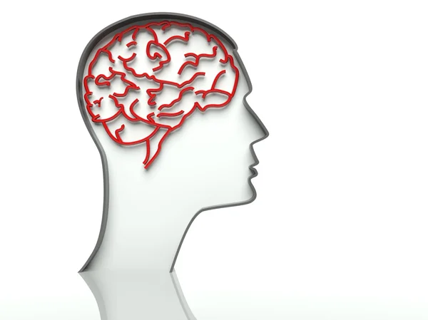 Kopf mit Gehirn auf weißem Hintergrund, Textfläche — Stockfoto