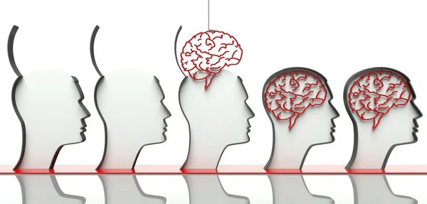 Inserindo cérebros em cabeças, conceito de inteligência — Fotografia de Stock