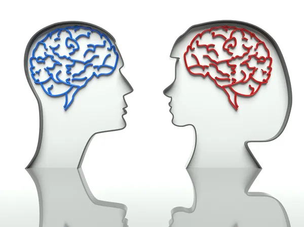 Man and woman heads profiles with brains, concept of difference — Stock Photo, Image