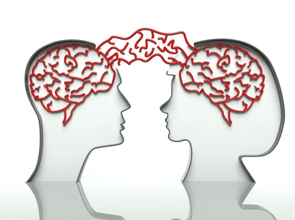 Man and woman heads profiles with connected brains, concept of communication — Stock Photo, Image
