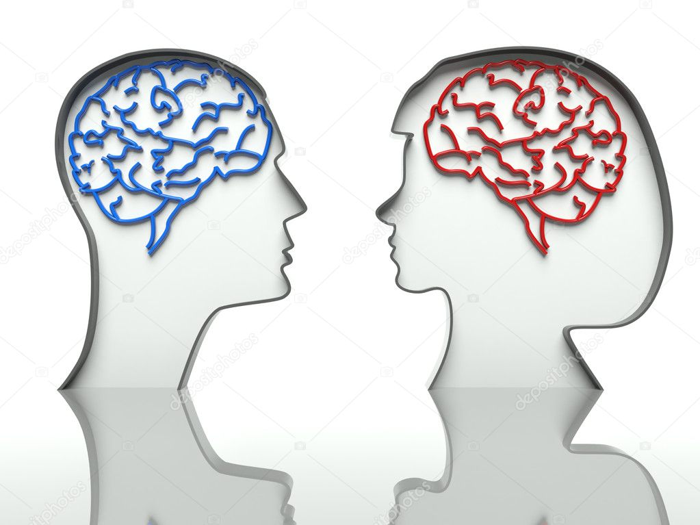 Man and woman heads profiles with brains, concept of difference