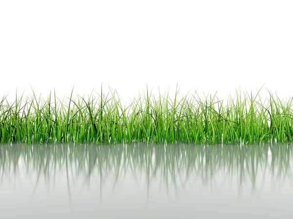 Gras achtergrond met tekst ruimte — Stockfoto