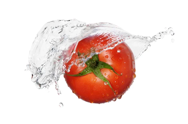 Červené rajče splash — Stock fotografie