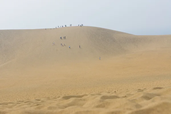 Japonya Japon turistler tottori, kum tepeleri tırmanma