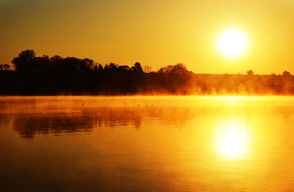 日出在水面 — 图库照片