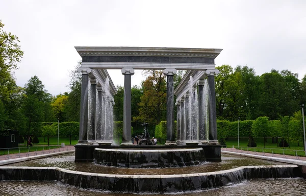 Fonteinen in petergof park. Leeuw trapsgewijs — Stockfoto