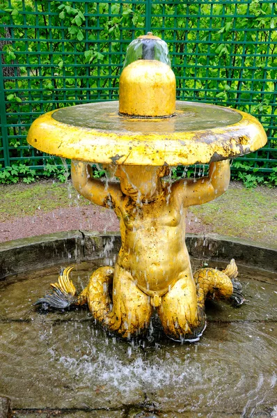 Cloche fontány v petergof parku — Stock fotografie