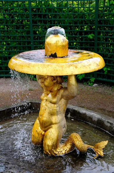 Cloche fontänerna i petergof park — Stockfoto