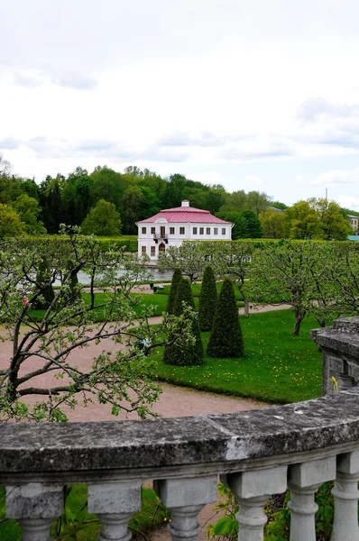 Wiosna w parku petergof (st. petersburg, Federacja Rosyjska) — Zdjęcie stockowe