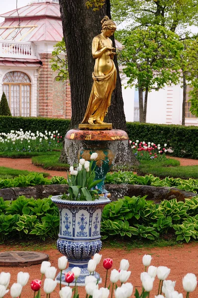 Springbrunnen im Peterspark. — Stockfoto