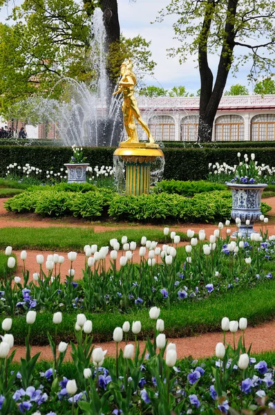 Springbrunnen im Peterspark. — Stockfoto