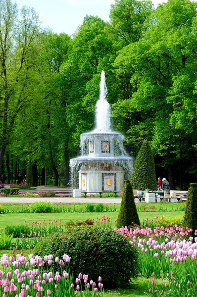 Fountains in Petergof park. The Roman Fountains — Stock Photo, Image