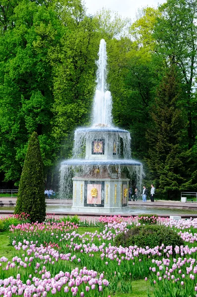 Фонтани в Petergof парку. Роман фонтани — стокове фото