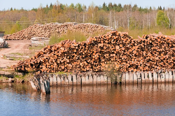 stock image Pile of Graded and Numbered Debarked Logs