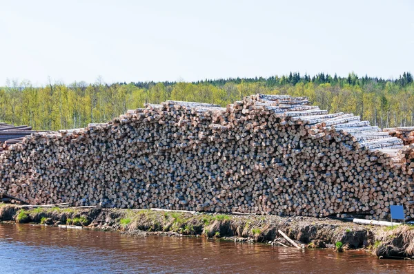 Pile of Graded and Numbered Debarked Logs — Stock Photo, Image