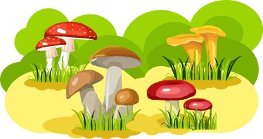 Mushroom glade clipart