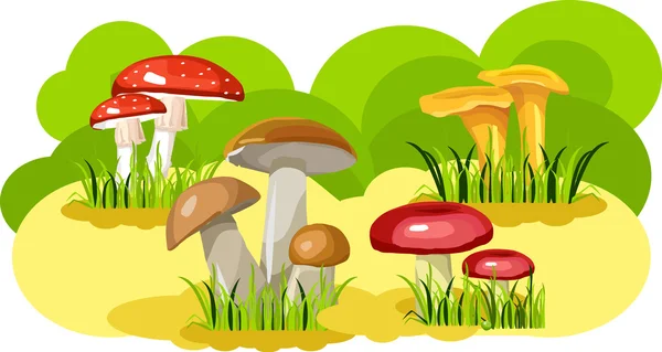 Mushroom glade — Stockvector