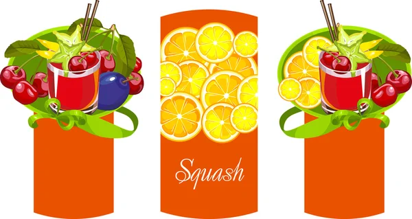 Squash — Stok Vektör