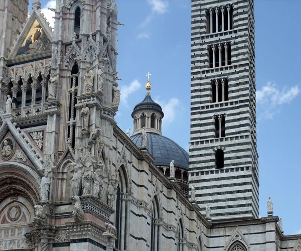 Catedral de Siena —  Fotos de Stock