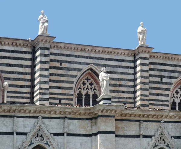 Καθεδρικός Ναός Σιένας — Φωτογραφία Αρχείου