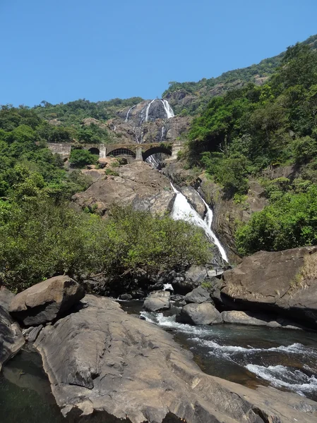 Bhagwan sevdije sanctuary och mollem nationalpark — Stockfoto