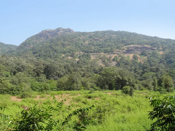 Bhagwan mahaveer heiligtum und mollem nationalpark — Stockfoto