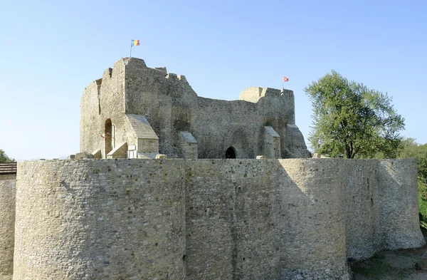 Castle Neamt Romaniassa — kuvapankkivalokuva