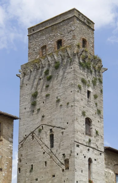 San Gimignano — Stock Fotó