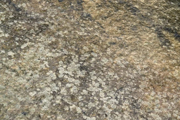 Sten yta — Stockfoto