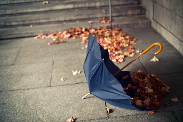Самотня парасолька — стокове фото