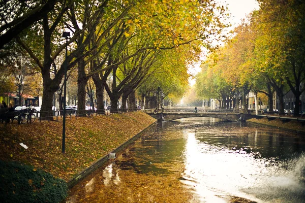 Reflexiones y hojas caídas en el agua del canal — Foto de Stock