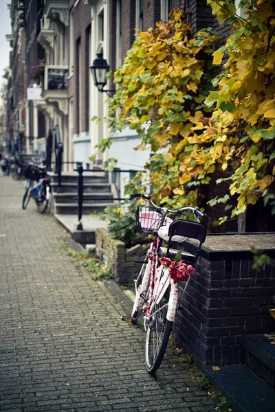 Bike with tulips — Stock Photo, Image