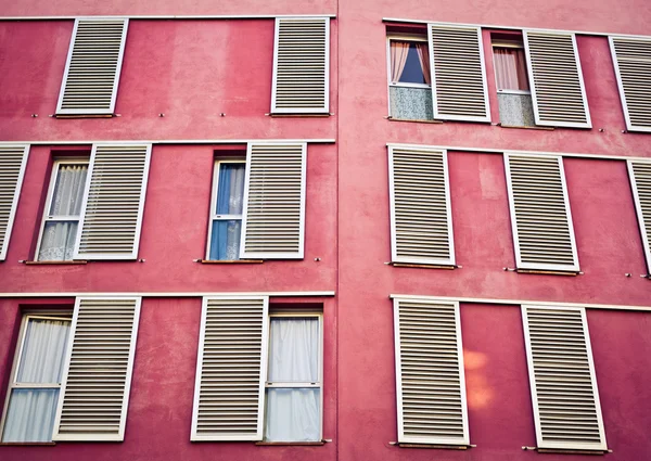 Windows on the pink wall — Stock Photo, Image