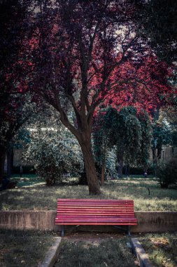 Red bench in Venice park clipart