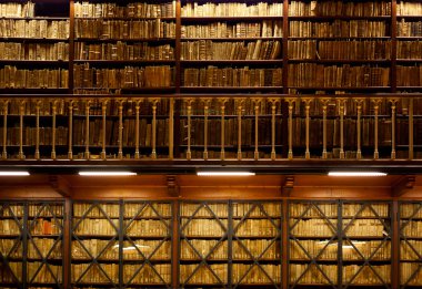 Book shelves in library clipart