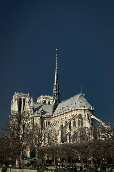 Impresionante Notre Dame —  Fotos de Stock