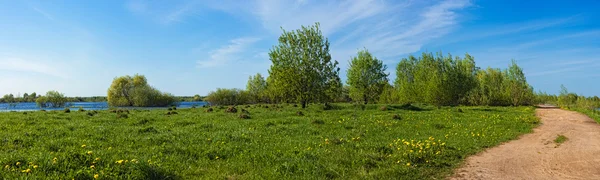 Veduta dei campi allagati in primavera — Foto Stock