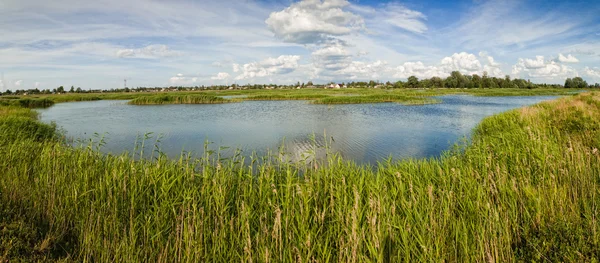Сельский пейзажный пруд с травой — стоковое фото