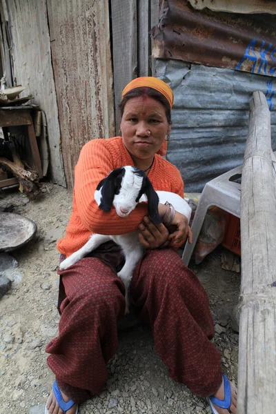 年轻的女子 (藏族妇女) 捧着白色的小山羊与黑色的耳朵 — 图库照片