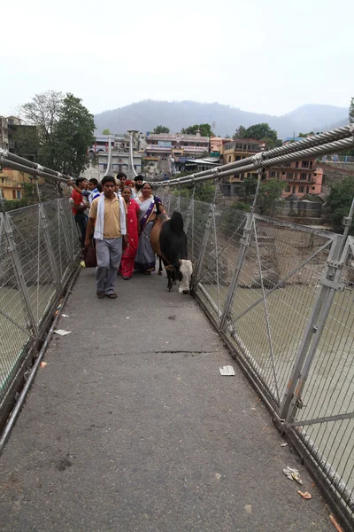 リシケシは、北インドでぶら下げ歩道橋 — ストック写真