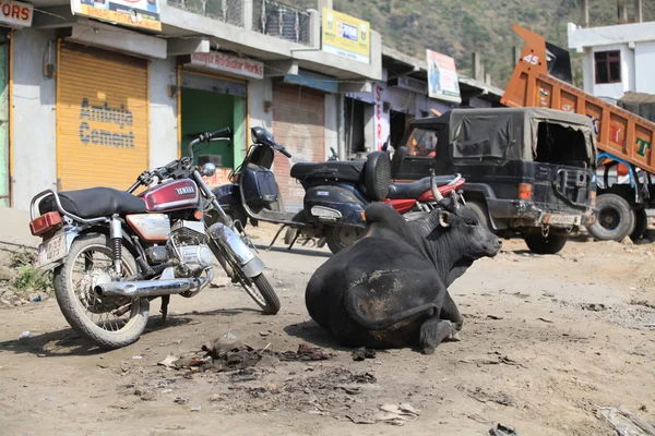 Μια ιερή αγελάδα, μοτοποδήλατα, μοτοσικλέτες και αυτοκίνητα στους δρόμους της Ινδίας — Φωτογραφία Αρχείου
