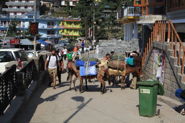 Transportation of goods on donkeys and horses — Stock Photo, Image